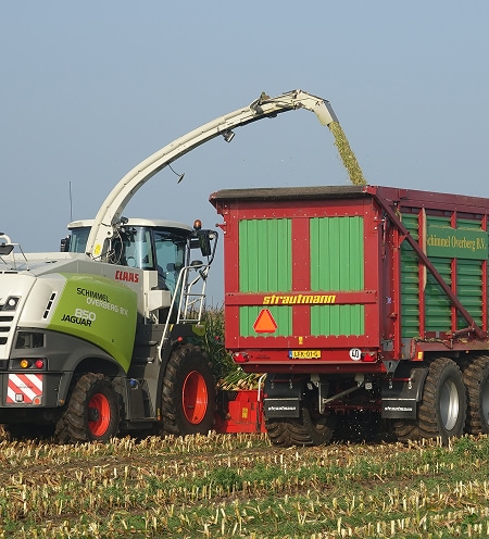 Van bemesten tot oogst